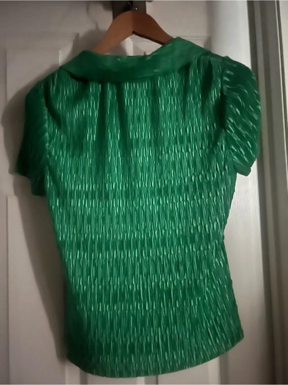 Pleione Womens Blouse Size M Green Textured Button-Up Short Sleeve Stretchy - Picture 2 of 6